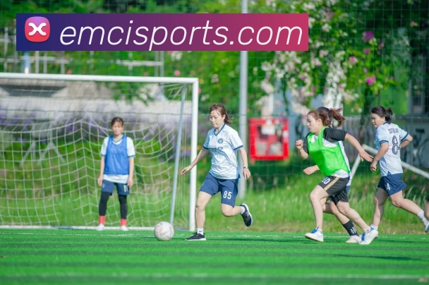 多媒体互动体验